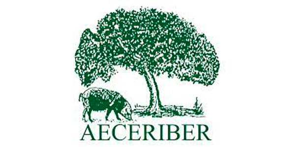 Logo de AECERIBER