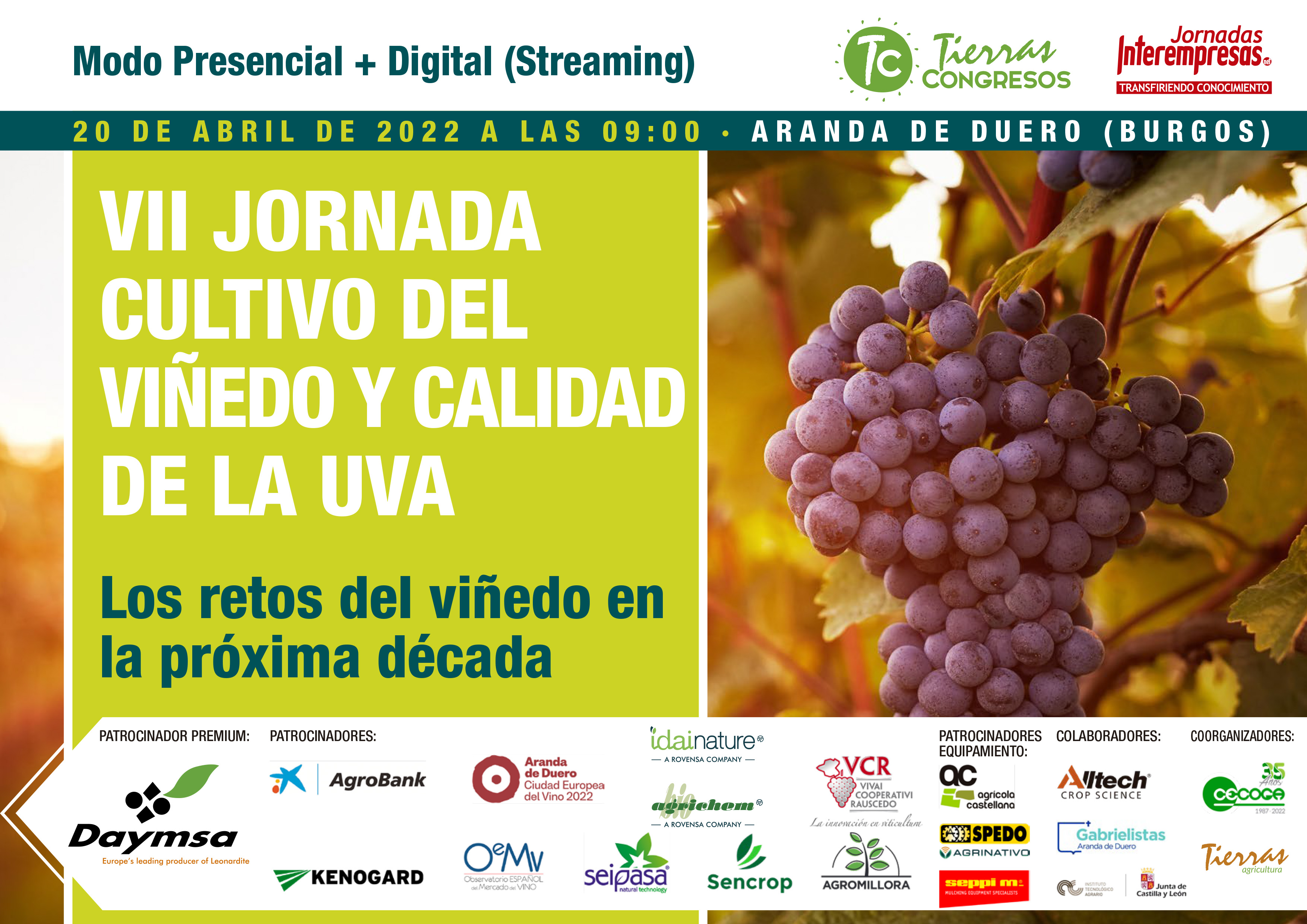 cartel de VII Jornada Cultivo del Viñedo y calidad de la Uva